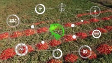 Tarım akıllı tarım teknolojisi - 4.0 Endüstri, Teknoloji ile Hasat ve Ürün ve Akıllı Çiftçilik. - Evet. Yüksek kalite 4k görüntü