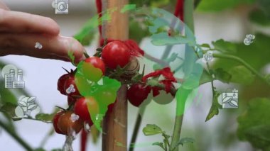 Gelecekteki çevresel koruma ve sürdürülebilir ESG modernizasyon gelişimi yenilenebilir kaynak teknolojisini kullanarak kirliliği ve karbon emisyonunu azaltmak. Yüksek kaliteli FullHD görüntüler