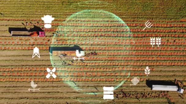 農業スマート農業技術 業界4 0技術とスマート農業とサトウキビ収穫と植え付けの概念 そうだ 高品質4K映像 — ストック動画