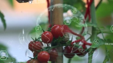 Gelecekteki çevresel koruma ve sürdürülebilir ESG modernizasyon gelişimi yenilenebilir kaynak teknolojisini kullanarak kirliliği ve karbon emisyonunu azaltmak. Yüksek kaliteli FullHD görüntüler