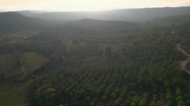 Kırsal alanda, güzel yeşil bir ormanın üzerinde uçan 4K anten. Yüksek kalite 4k görüntü