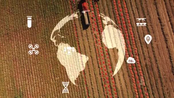 Teknologi Pertanian Cerdas Industri Konsep Pemanenan Dan Penanaman Tebu Dengan — Stok Video