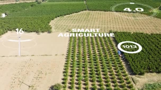 Smart Digital Agriculture Technology Futuristic Sensor Data Collection Management Artificial Séquence Vidéo Libre De Droits