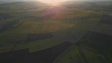 Birds eye view of agricultural area and green wavy fields in sunny day. Agronomic industry. Cinematic aerial shot. Beauty of earth. Filmed in UHD 4k, drone video. High quality 4k footage
