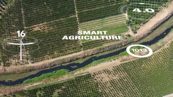 Agricultura Tecnología Agrícola Inteligente Industria Concepto Cosecha Plantación Con Tecnología — Vídeos de Stock