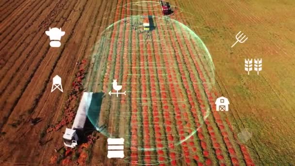 Landbouw Slimme Landbouwtechnologie Industrie Concept Van Suikerriet Oogsten Planten Met — Stockvideo