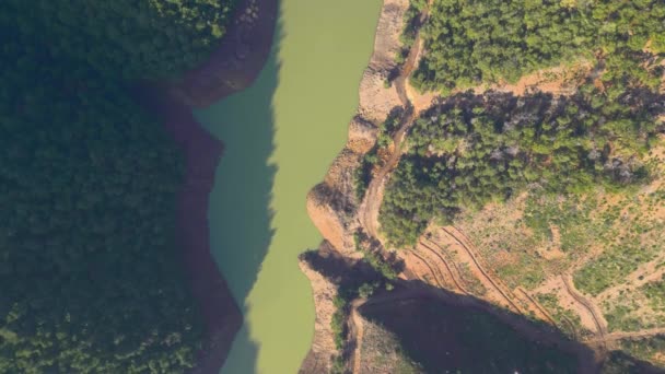 Turquoise Water Mountain Forest Lake Pine Trees Aerial View Green — Vídeo de Stock