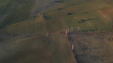 Drone flying over a field during sunset. Drone flies over green agriculture field. Beautiful summer landscape of a field. Top view to the green farm cornfield. High quality 4k footage