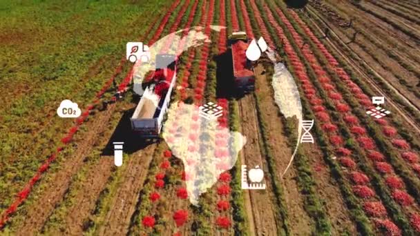 Tarım Teknolojisi Konsepti Tarım Teknisyeni Çevre Teknolojisi Sürdürülebilir Kalkınma Hedefleri — Stok video