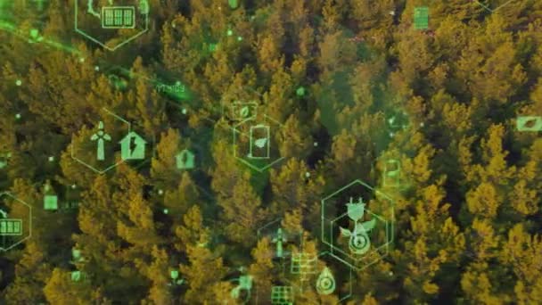 Grön Skog Flygfoto Och Miljöteknik Koncept Grön Teknik Ekologi Grön — Stockvideo