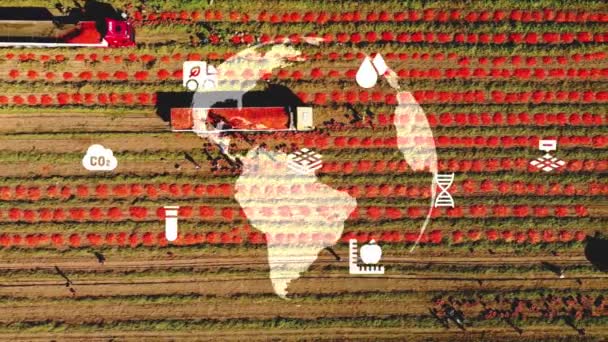 农业智能农业技术 工业4 0甘蔗收获和种植的概念与技术和智能农业 是的高质量的4K镜头 — 图库视频影像