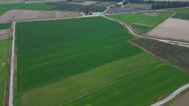 Tarımın havadan görünüşü. Arka plan için doğal doku. Yüksek kalite 4k görüntü