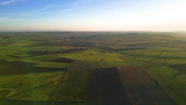 Birds Eye View Agricultural Area Green Wavy Fields Sunny Day — Stock videók