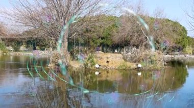 Çevre koruma kavramı. Yenilenebilir enerji. Sürdürülebilir kalkınma hedefleri. - Evet. Yüksek kaliteli FullHD görüntüler