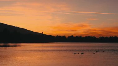 Gün batımında suyun yüzeyindeki bir grup ördek. - Evet. Yüksek kalite 4k görüntü