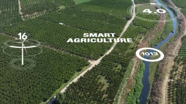 Smart Digital Jordbruksteknik Genom Futuristisk Sensordatahantering Genom Artificiell Intelligens För — Stockvideo
