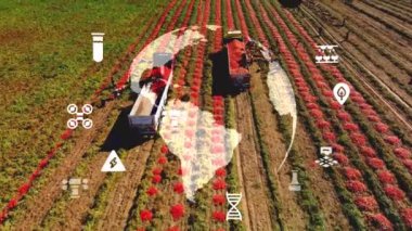 Tarım akıllı tarım teknolojisi - 4.0 Şeker Kamışı Ürünleri ve Teknoloji ve akıllı çiftçilik kavramı. - Evet. Yüksek kalite 4k görüntü