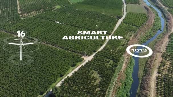 Intelligens Digitális Mezőgazdasági Technológia Futurisztikus Szenzoradatgyűjtéssel Mesterséges Intelligencia Segítségével Növénytermesztés Videóklipek