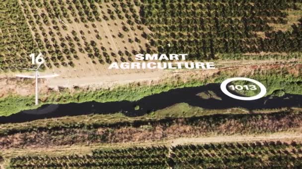 Smart Digital Agriculture Technology Futuristic Sensor Data Collection Management Artificial Clip Vidéo