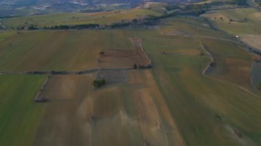 Drone flying over a field during sunset. Drone flies over green agriculture field. Beautiful summer landscape of a field. Top view to the green farm cornfield. High quality 4k footage