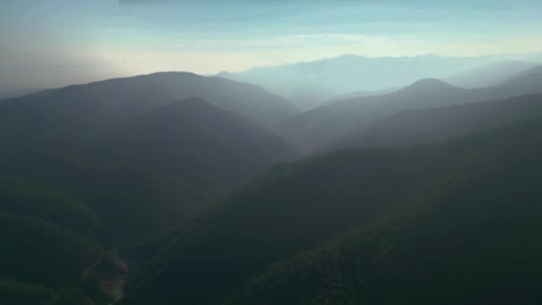 Бірюзова Вода Гірському Лісовому Озері Сосновими Деревами Вид Повітря Зелене — стокове відео