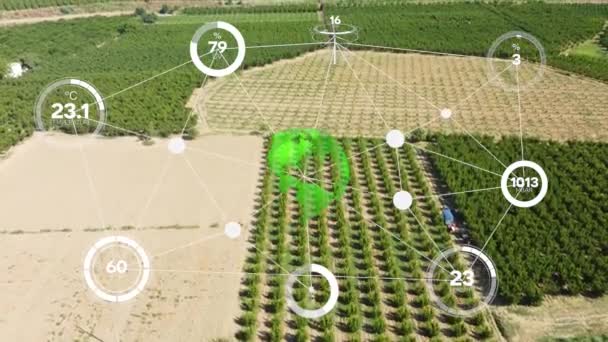 Smart Digital Jordbruksteknik Genom Futuristisk Sensordatahantering Genom Artificiell Intelligens För — Stockvideo