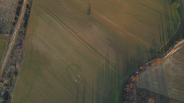 Drone flying over a field during sunset. Drone flies over green agriculture field. Beautiful summer landscape of a field. Top view to the green farm cornfield. High quality 4k footage