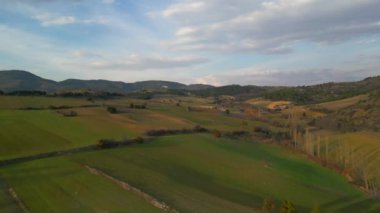 Drone flying over a field during sunset. Drone flies over green agriculture field. Beautiful summer landscape of a field. Top view to the green farm cornfield. High quality 4k footage