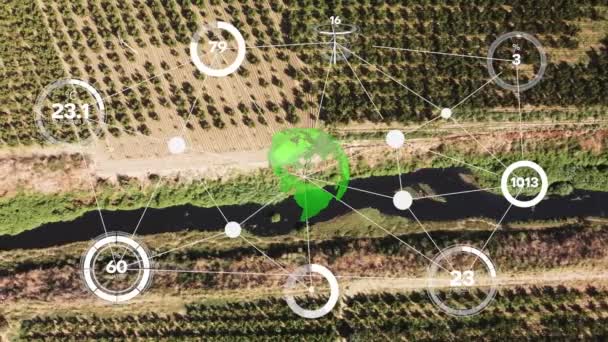 Smart Digital Agriculture Technology Futuristic Sensor Data Collection Management Artificial Vidéo De Stock Libre De Droits