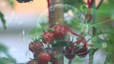 Gelecekteki çevresel koruma ve sürdürülebilir ESG modernizasyon gelişimi yenilenebilir kaynak teknolojisini kullanarak kirliliği ve karbon emisyonunu azaltmak. Yüksek kaliteli FullHD görüntüler