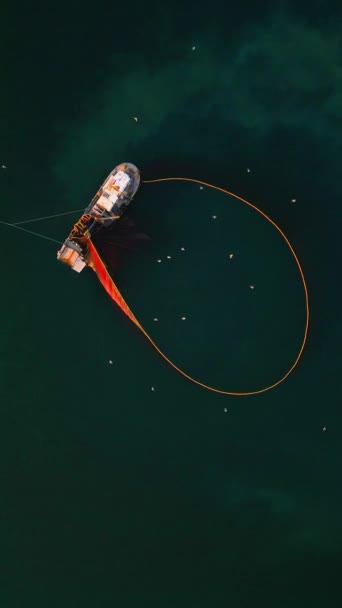 円形状の漁船と網の空中ビュー 海から魚を収集 イズミルトルコの伝統的なサーモン釣り ドローンショット 高品質4K映像 — ストック動画