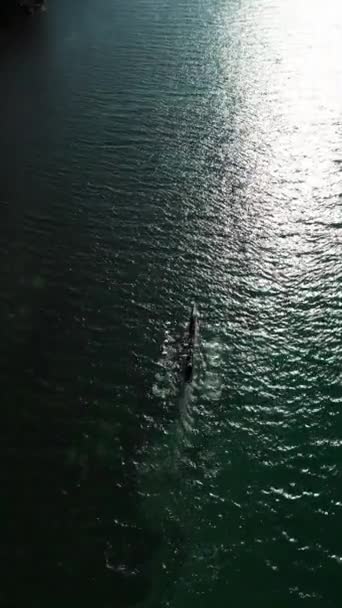体育独木舟与一队四人划船在平静的水面上 空中的风景 高质量的4K镜头 — 图库视频影像