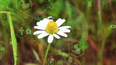 Environment protection concept. Renewable energy. Sustainable development goals. . High quality 4k footage