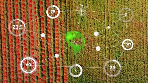 Tecnología Inteligente Agricultura Digital Mediante Gestión Futurista Recolección Datos Sensores — Vídeo de stock