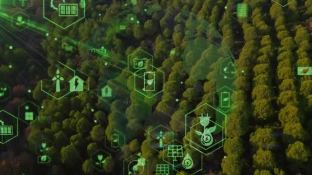 Vue Aérienne Forêt Verte Concept Technologie Environnementale Technologie Verte Écologie — Video
