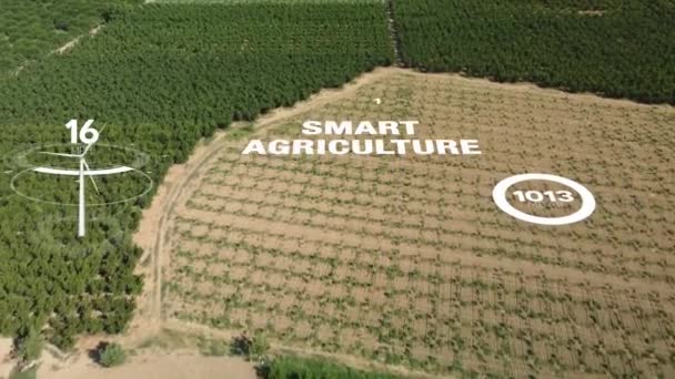 Agricultura Tecnologia Agricultura Inteligente Indústria Conceito Colheita Plantação Com Tecnologia — Vídeo de Stock