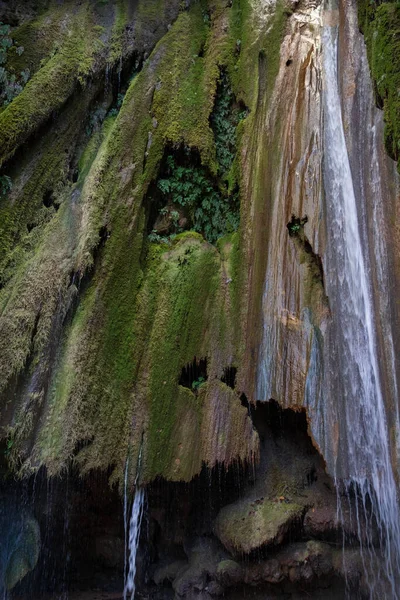 Wasserfall Herbstwald Herbstlicher Waldwasserfall Herbstlicher Wasserfall Herbstwald Wasserfalllandschaft Hochwertiges Foto Stockbild