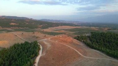 Hava aracı gün batımında bir tarlanın üzerinde uçuyor. İnsansız hava aracı yeşil tarım alanının üzerinde uçuyor. Güzel bir yaz manzarası. Yeşil çiftlik mısır tarlasının üst görüntüsü. Yüksek kalite 4k görüntü