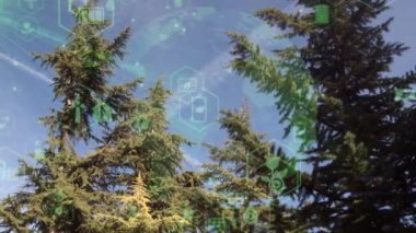 Environment protection concept. Renewable energy. Sustainable development goals. . High quality 4k footage