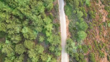 Environment protection concept. Renewable energy. Sustainable development goals. . High quality 4k footage