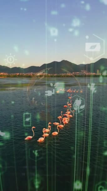 环境保护的概念 可再生能源 可持续发展目标 是的高质量的4K镜头 — 图库视频影像