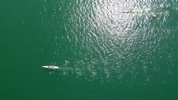 Sport Canoa Remo Água Tranquila Air View Rowing Corrida Corrida Filmagem De Stock Royalty-Free