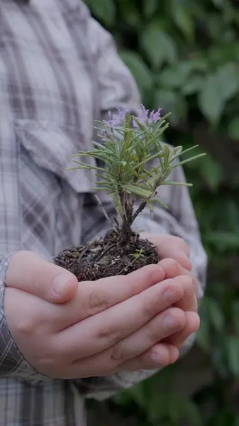 Αγόρι Που Φυτεύει Ένα Νέο Δέντρο Έννοια Σώστε Σώστε Τον Εικόνα Αρχείου