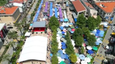 Urla, İzmir, Türkiye - Mayıs 2024: Urla, İzmir, Türkiye 'de düzenlenen Uluslararası enginar festivalinde insanlar ve satıcılar karşı çıkıyor. Yüksek kalite 4k görüntü