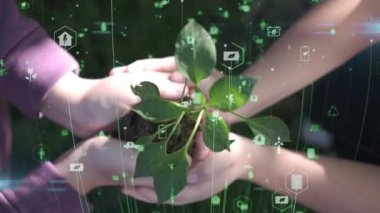 Bitki yetiştirme. Genç yeşil bitkinin fidanını tutarken ellerinizi kapatın. Dünya bahar tatili. Çocuk eli toprağa taze yeşil bitki eker. Doğa koruma kavramı. Ekoloji koruması. Gezegeni Kaydet