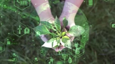 Bitki yetiştirme. Genç yeşil bitkinin fidanını tutarken ellerinizi kapatın. Dünya bahar tatili. Çocuk eli toprağa taze yeşil bitki eker. Doğa koruma kavramı. Ekoloji koruması. Gezegeni Kaydet