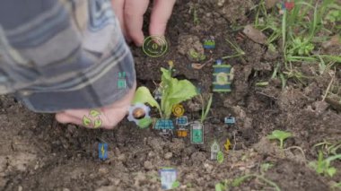 Eller toprağa güzel bir tohum ekiyor. Yerleştirmenin yakın çekimi. Ekoloji konsepti. Yeni yaşam konsepti 4k video