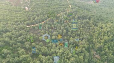 Yeşil orman hava manzarası ve çevresel teknoloji kavramı. Yeşil teknoloji. Ekoloji. Yeşil dönüşüm. GX. SDG 'ler. Yüksek kalite 4k görüntü