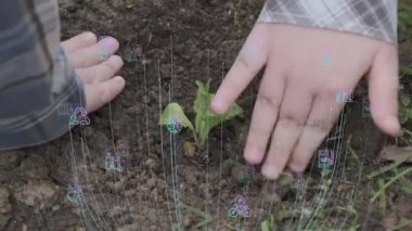 Eller toprağa güzel bir tohum ekiyor. Yerleştirmenin yakın çekimi. Ekoloji konsepti. Yeni yaşam konsepti 4k video