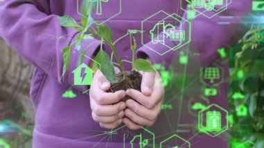 Bitki yetiştirme. Genç yeşil bitkinin fidanını tutarken ellerinizi kapatın. Dünya bahar tatili. Çocuk eli toprağa taze yeşil bitki eker. Doğa koruma kavramı. Ekoloji koruması. Gezegeni Kaydet